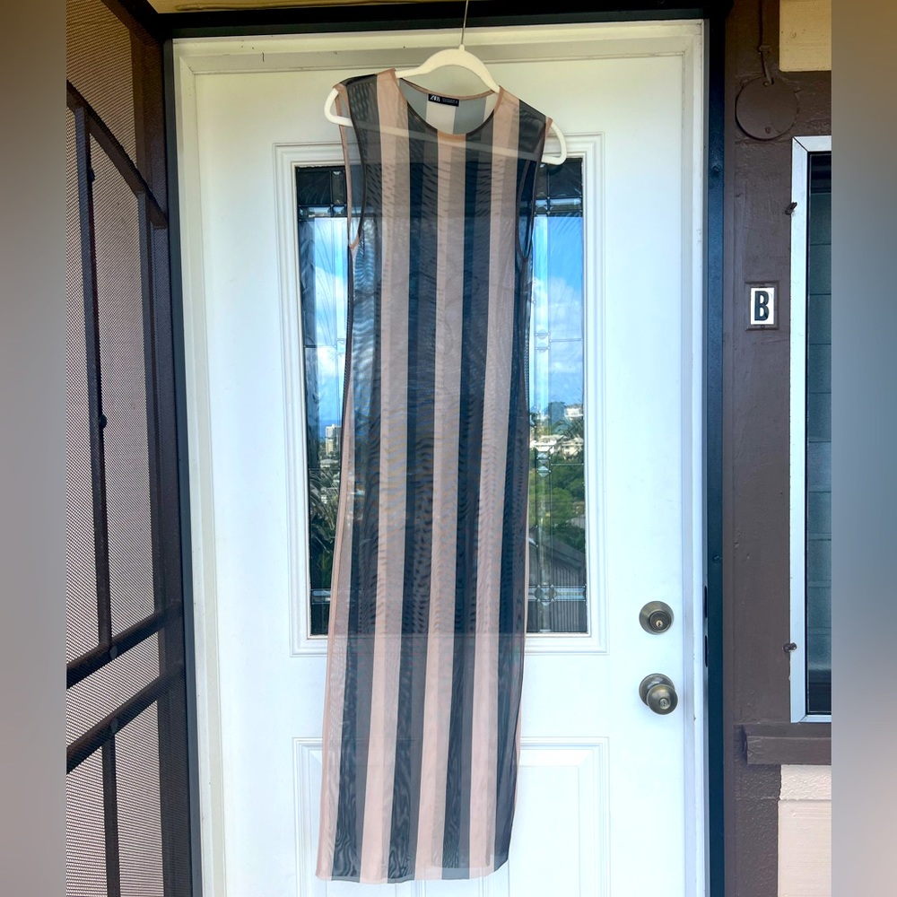Sheer Zara bodycon dress